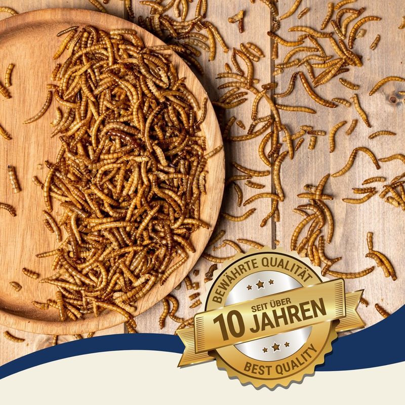 Lyra Pet – Vers de farine séchés 10 kg – Riche en protéines 50,2 % – Complément alimentaire pour oiseaux, reptiles et rongeurs - Image 4