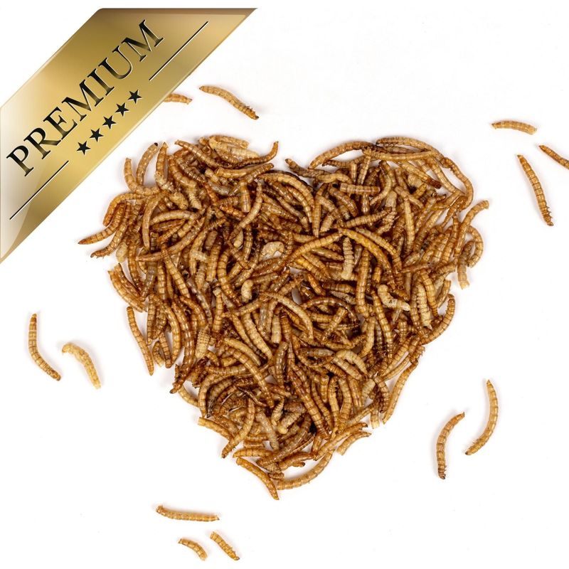 Lyra Pet – Vers de farine séchés 10 kg – Riche en protéines 50,2 % – Complément alimentaire pour oiseaux, reptiles et rongeurs - Image 5