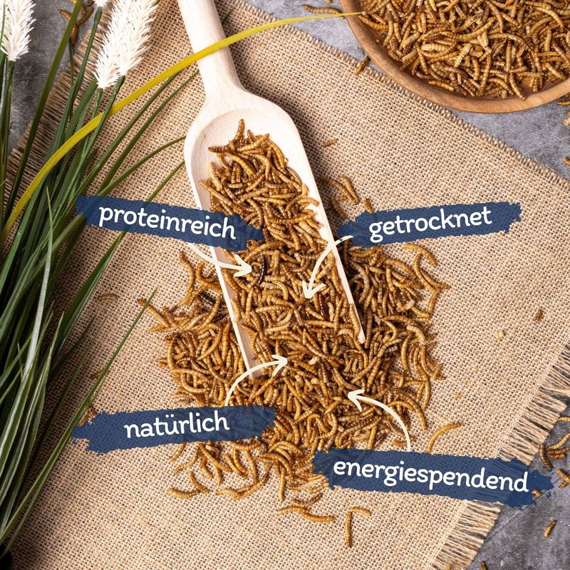 Lyra Pet – Vers de farine séchés 10 kg – Riche en protéines 50,2 % – Complément alimentaire pour oiseaux, reptiles et rongeurs - Image 2